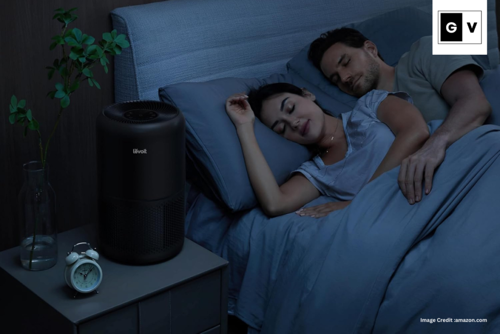 LEVOIT Air Purifier